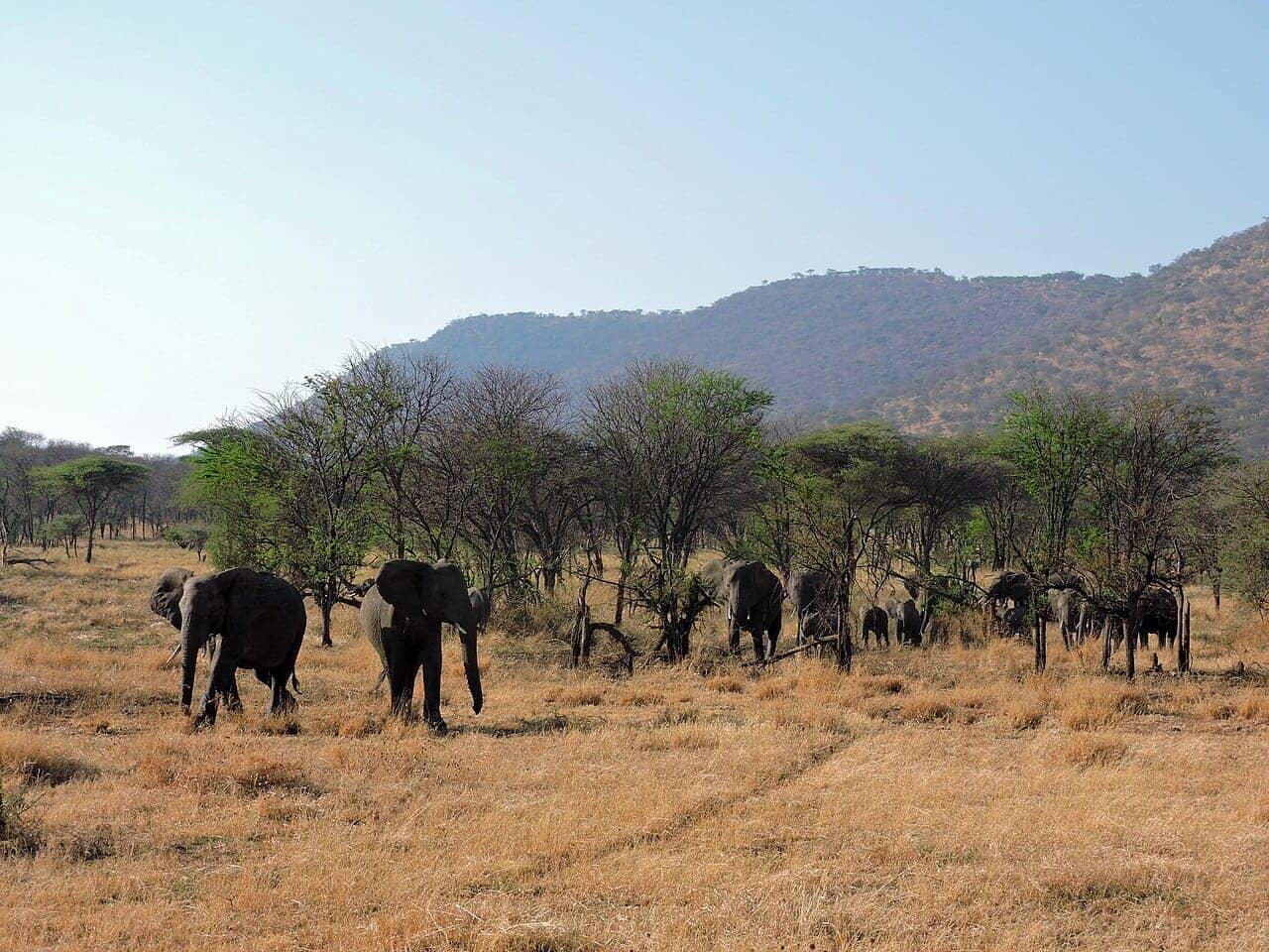 Serengeti National Park
