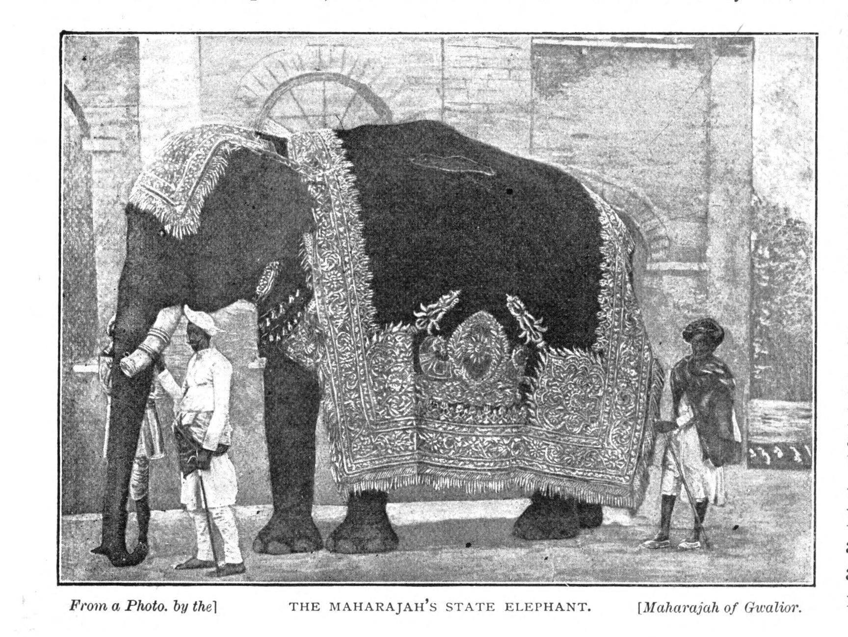 Gallery image 5