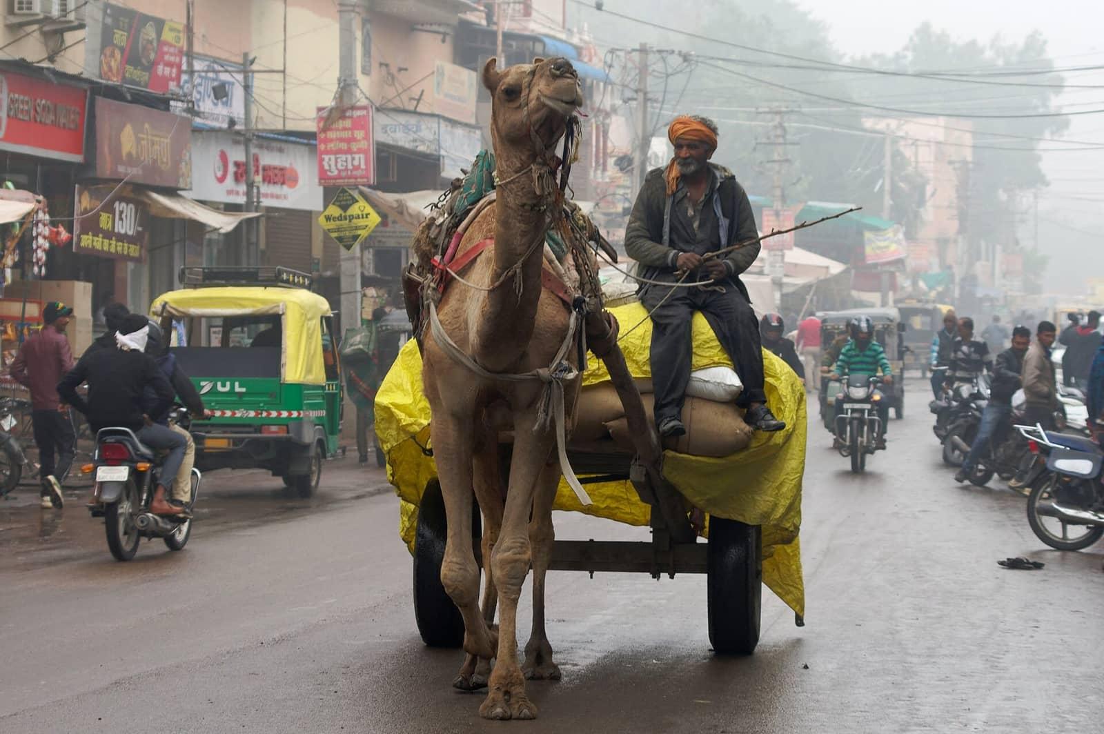 Bikaner