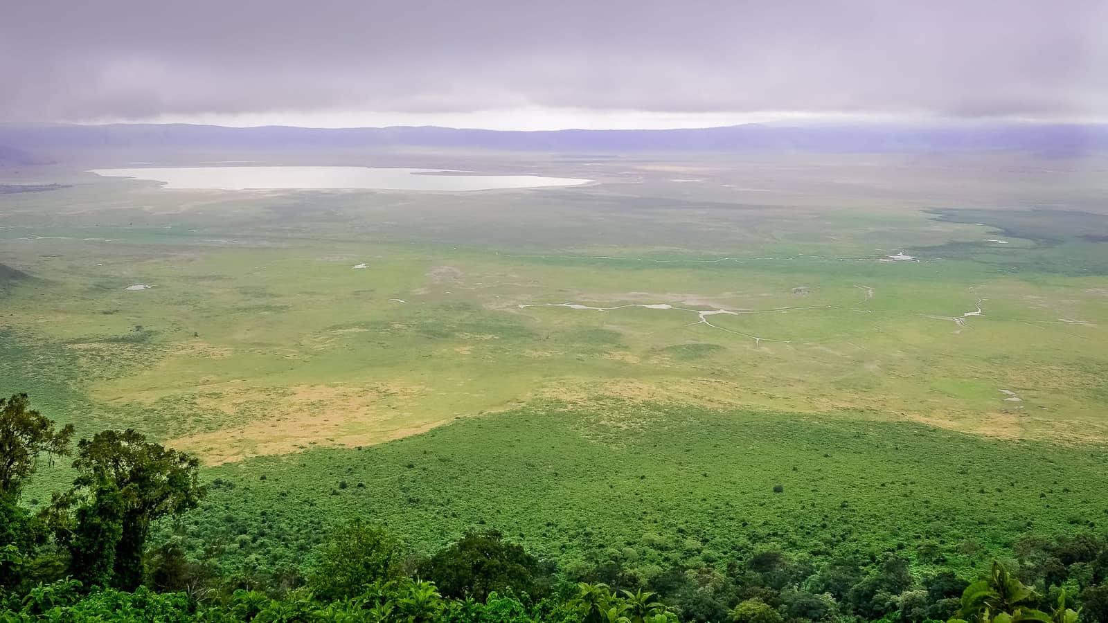 Ngorongoro Reserve