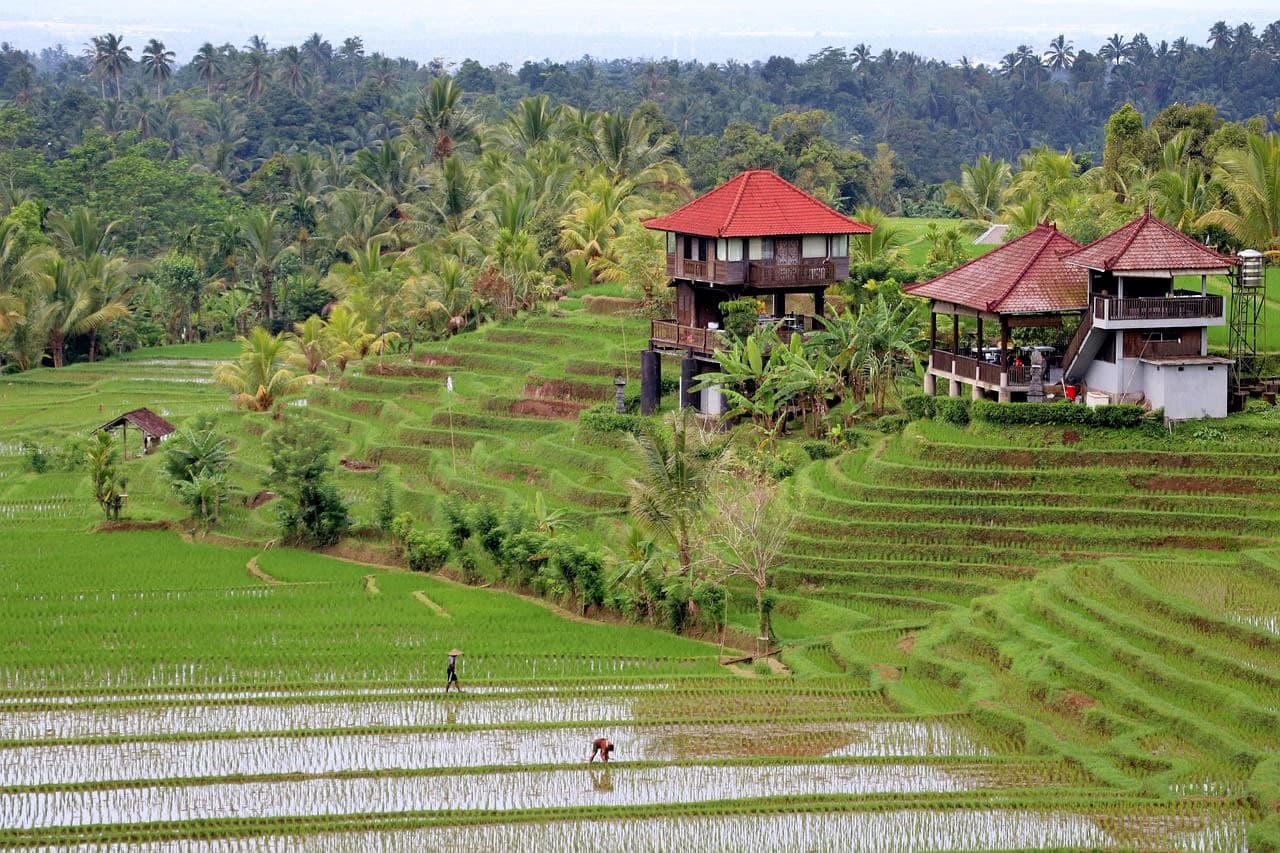Bali photo 1