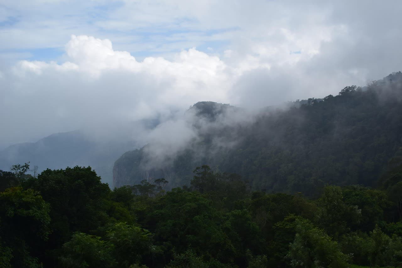 Coonoor photo 1