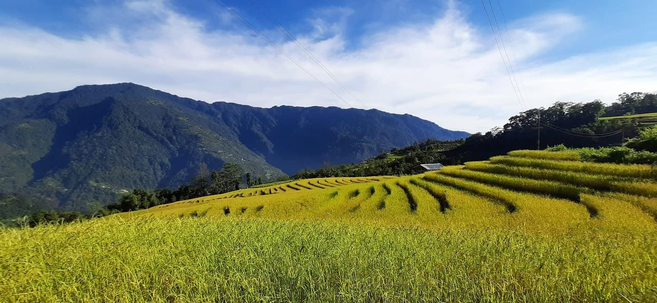 Sikkim photo 2