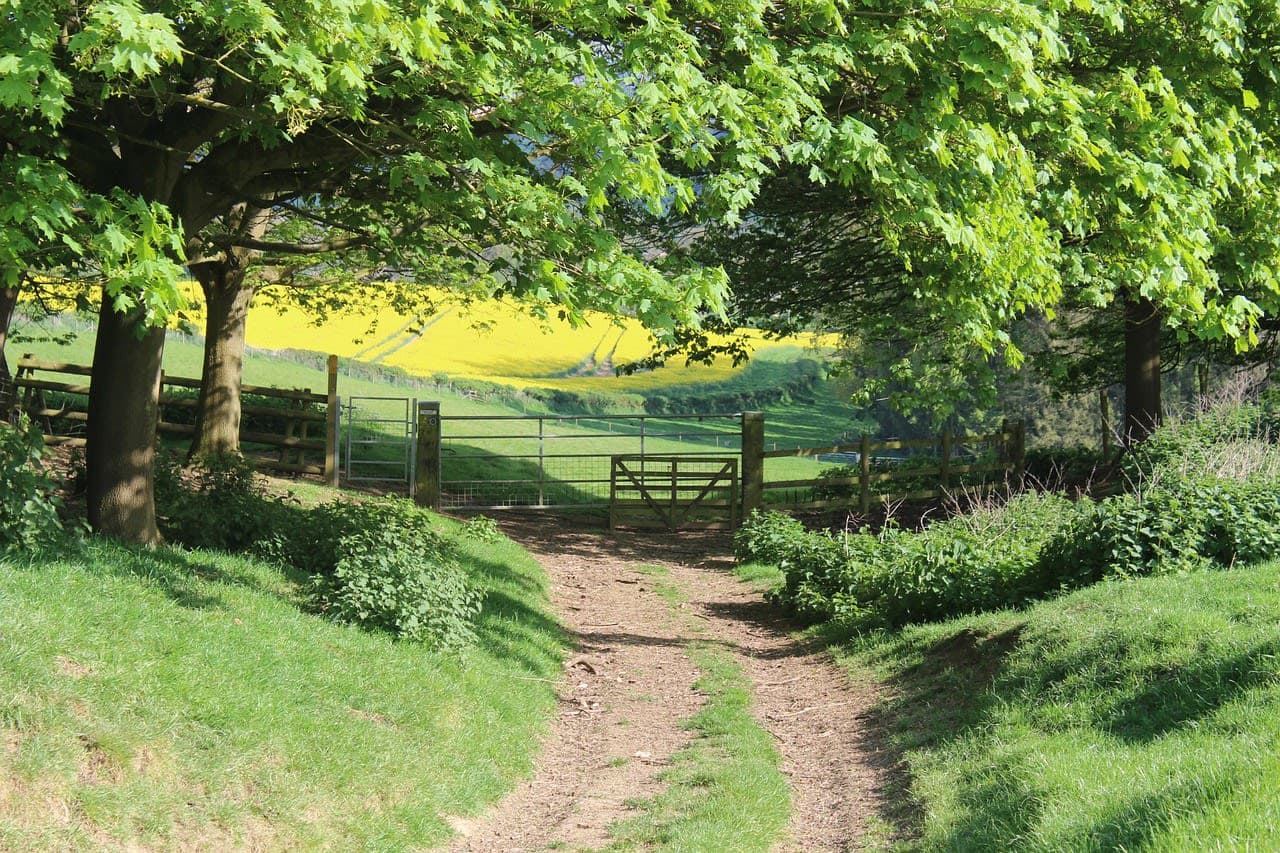 Cotswold photo 2
