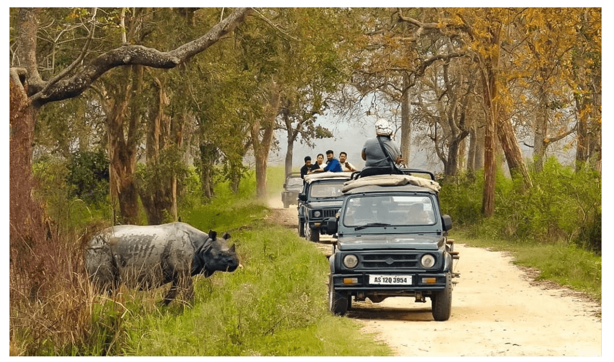 Kaziranga photo 2