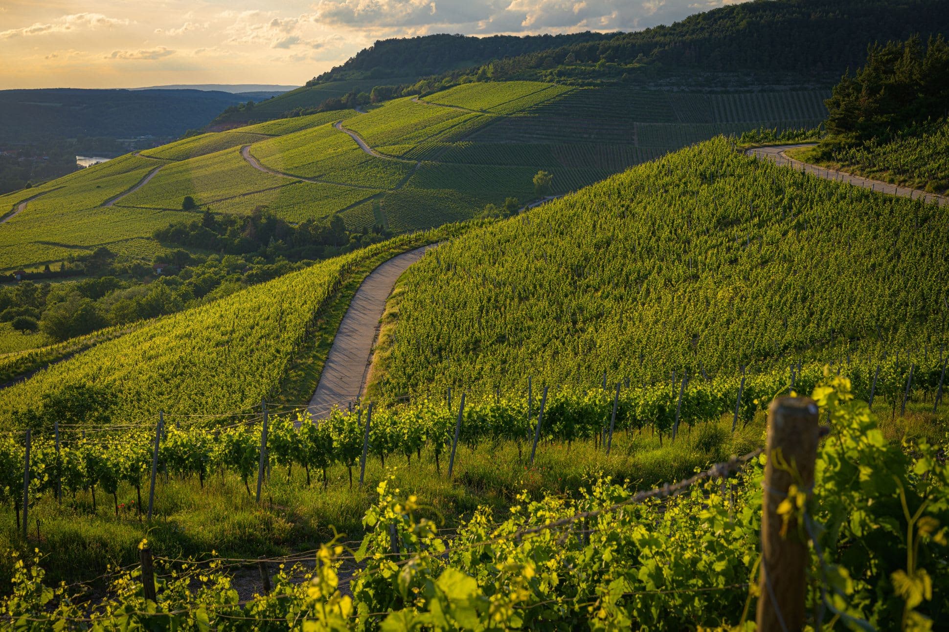 Tuscany Wine Region photo 5